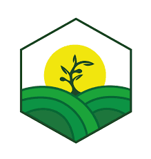 Logo de INSTITUTO SUPERIOR TECNOLÓGICO QUININDÉ